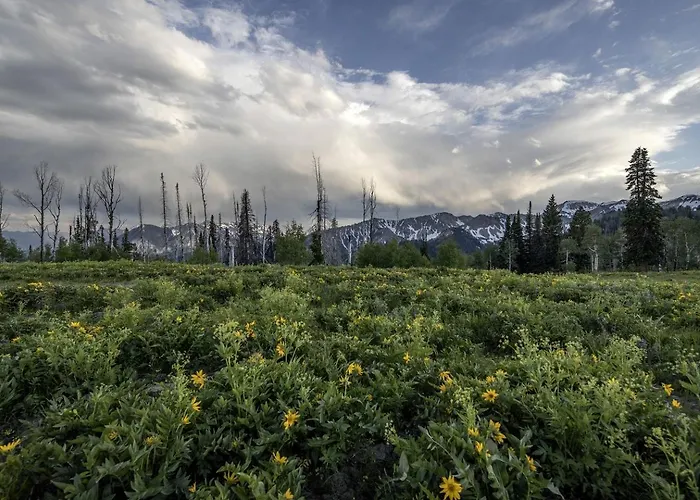 Mountain Vacation With Fishing & Outdoor Adventures In Idaho * Alpine